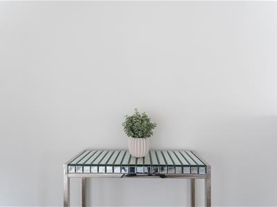 Picture 30